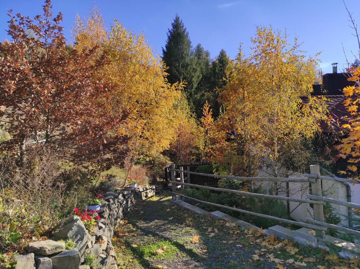 Kocia Gorka Apartment Wisla Bagian luar foto