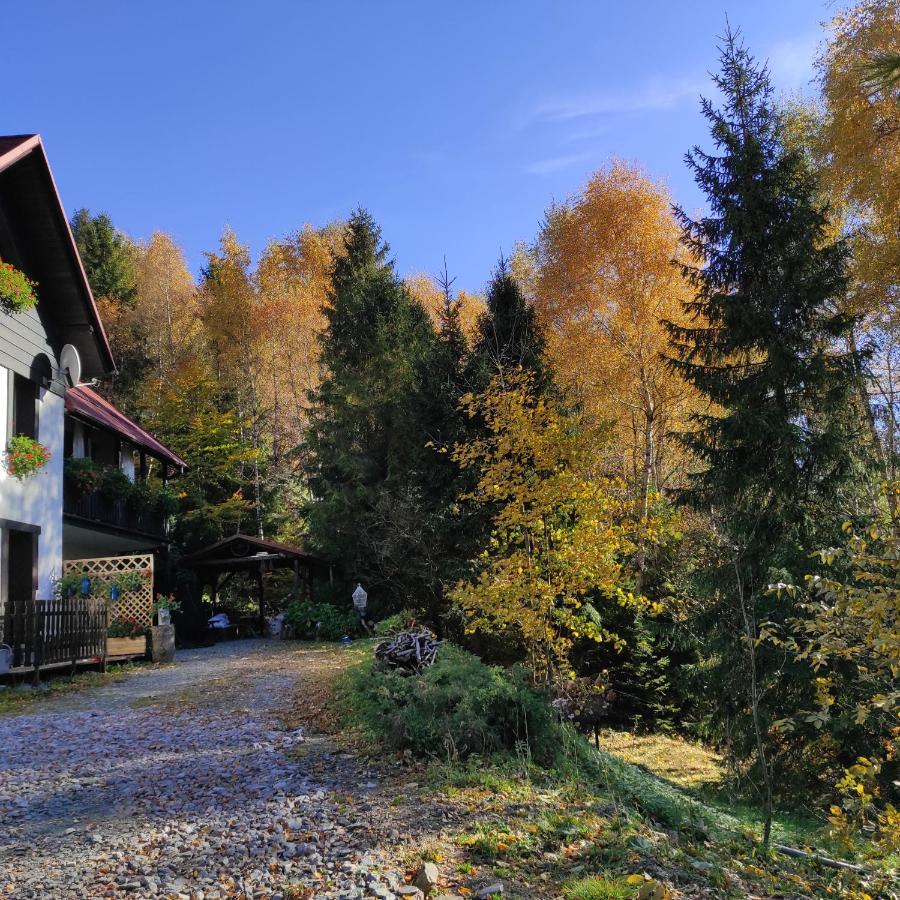 Kocia Gorka Apartment Wisla Bagian luar foto