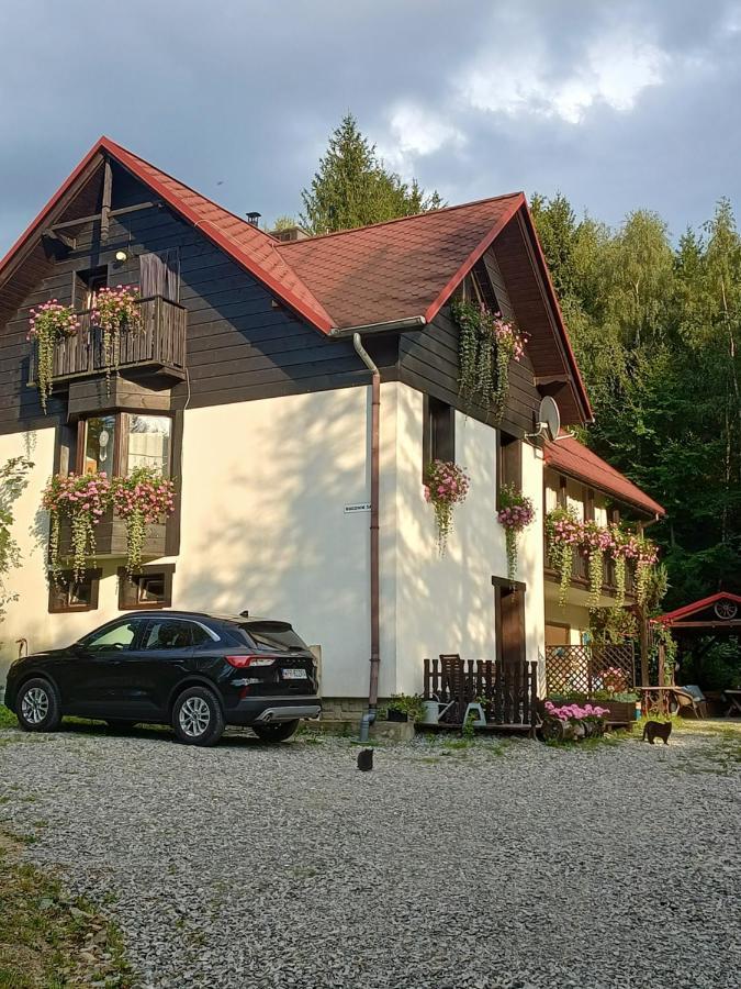 Kocia Gorka Apartment Wisla Bagian luar foto