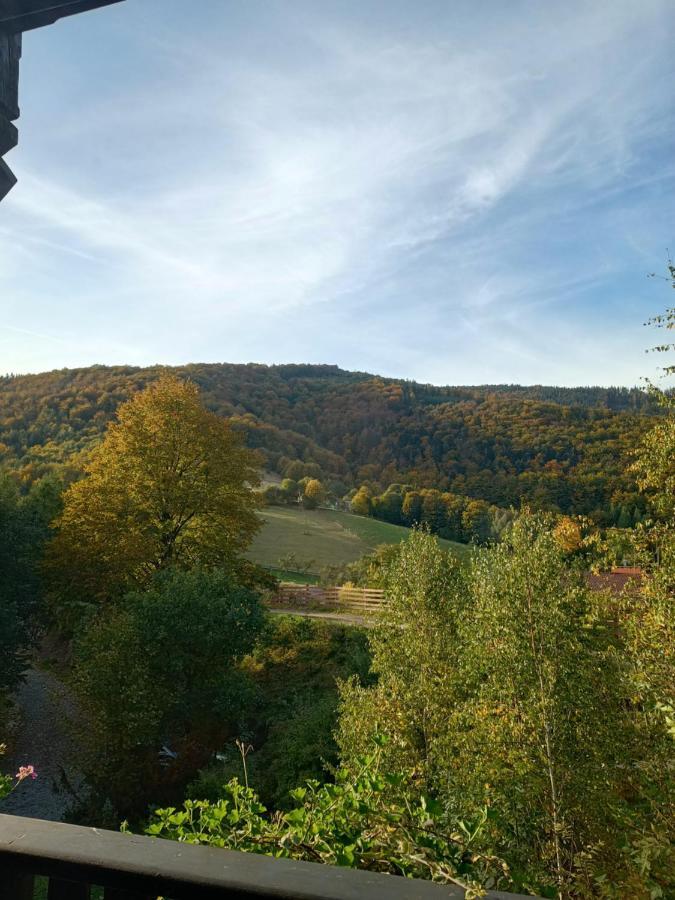 Kocia Gorka Apartment Wisla Bagian luar foto