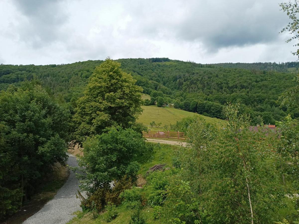 Kocia Gorka Apartment Wisla Bagian luar foto