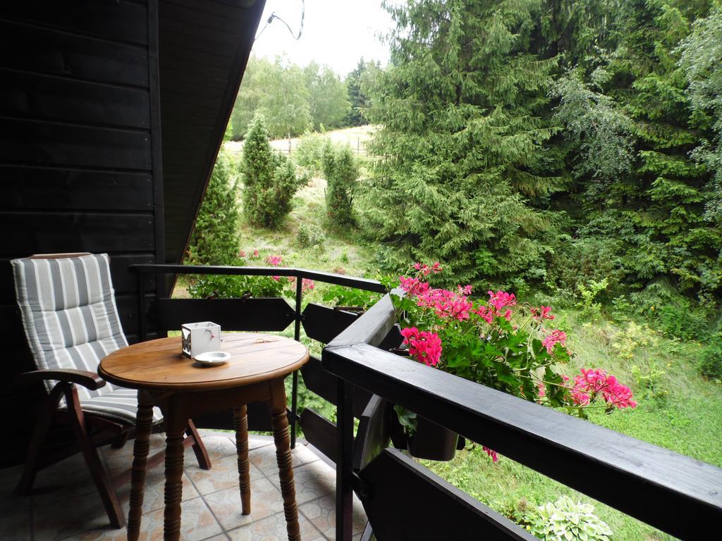 Kocia Gorka Apartment Wisla Bagian luar foto
