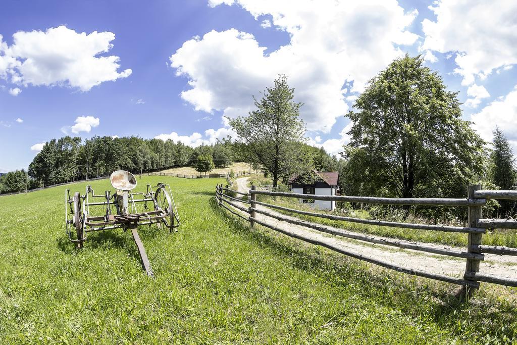 Kocia Gorka Apartment Wisla Bagian luar foto