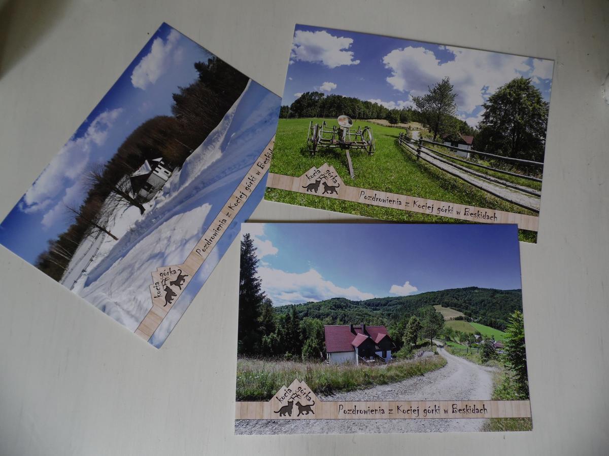 Kocia Gorka Apartment Wisla Bagian luar foto