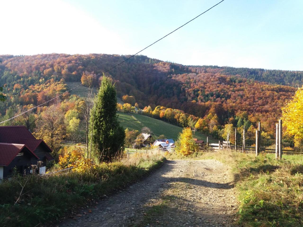 Kocia Gorka Apartment Wisla Bagian luar foto